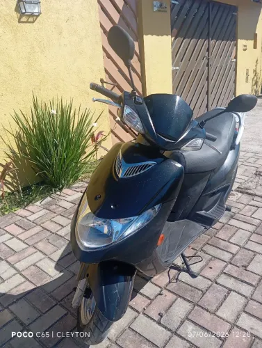 Burgman