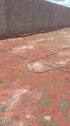 Grama São Carlos Direto da Fazenda