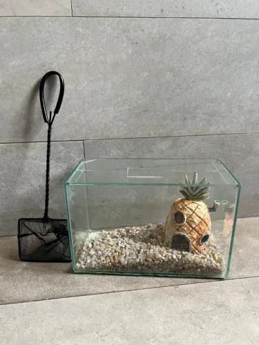 Aquário de Vidro Completo com Tampa, Pedrinhas Decorativas, Rede e Enfeite