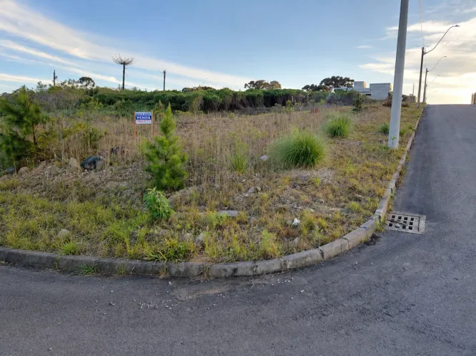 CAXIAS DO SUL - Terreno Padrão - SÃO LUIZ DA 6ª LÉGUA