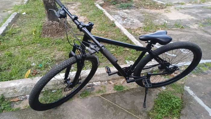 Bicicleta Aro29