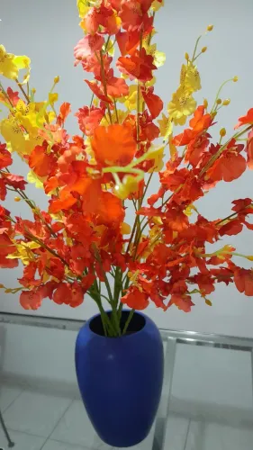 Flores laranja e amarela.