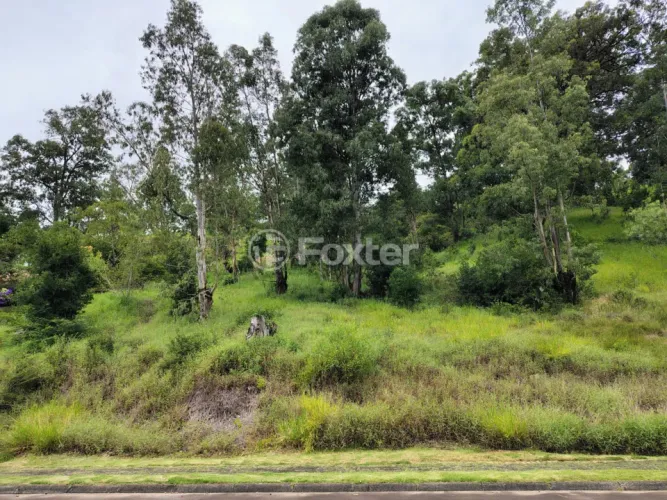 Terreno em Condomínio à venda Avenida Liberdade, Santa Isabel - Viamão