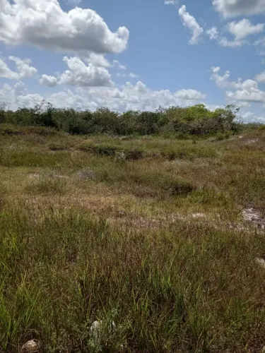 Vende-se este terreno 