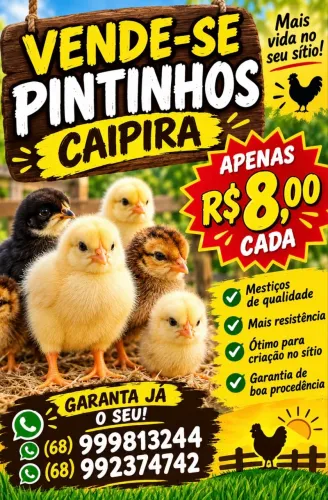 Vende-se