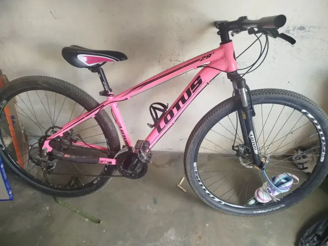 Bicicleta