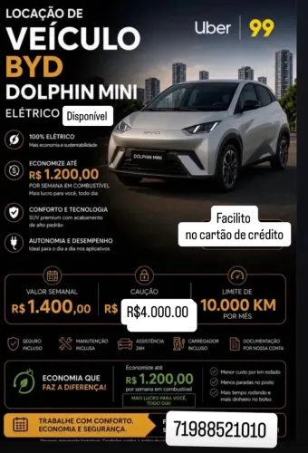BYD Dolphin Mini (Elétrico) 2025