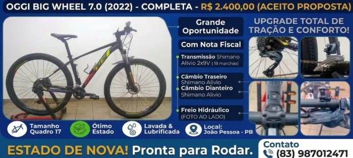 Bicicleta Oggi Big Well 29 2x9 