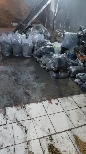 Terra preta 