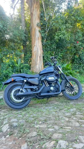 Harley Davidson XL Iron 883