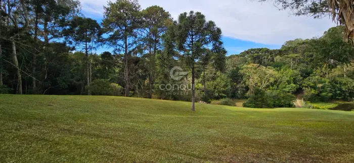 CHÁCARA DE 45.000m² COM 3 CASAS, NASCENTES E ESTRUTURA COMPLETA COM REGISTRO DE IMÓVEIS EM
