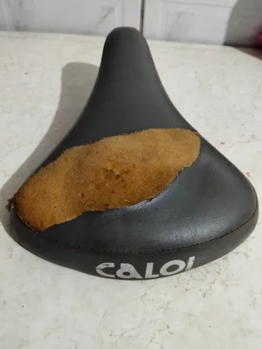 Selim Caloi