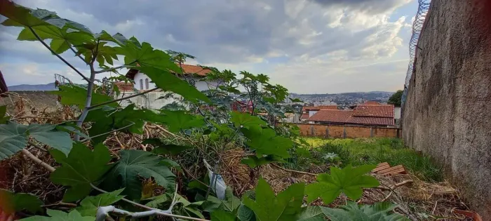 Lote à venda, Havaí - Belo Horizonte/MG