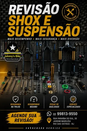 Revisão de Shox e suspensão de bike