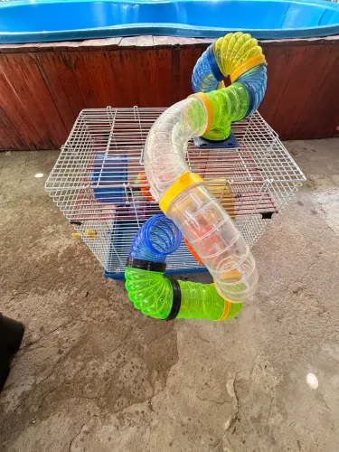 Gaiola para Ramister Ramster