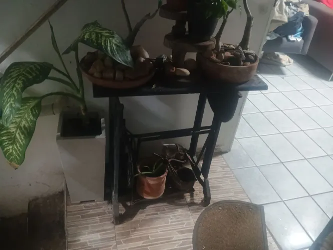 PÉ DE MAQUINA