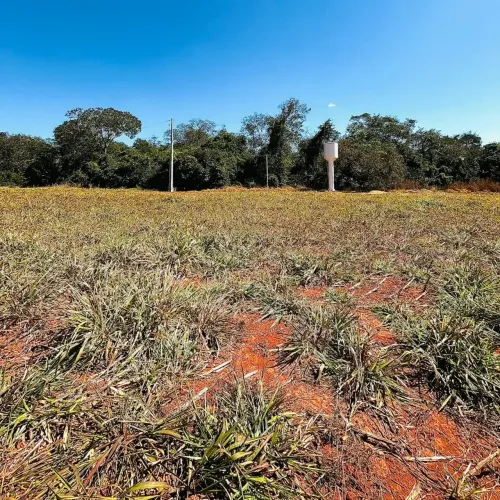 Terra 1 Alqueire Em Bela Vista de Goias