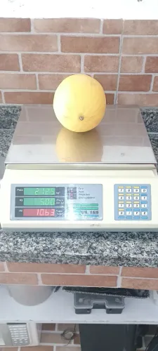 Balança comercial Urano 15 kg.