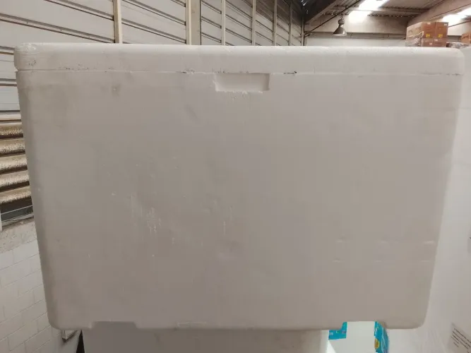 CAIXA DE ISOPOR 170 L