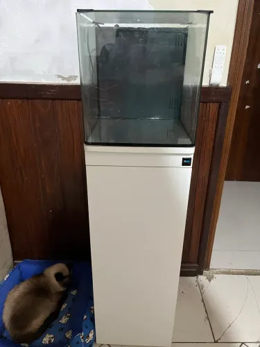 Título do Anúncio: Kit Aquário Marinho Completo Artero Aquatics 27L + Móvel + Acessórios