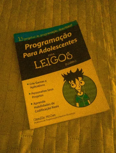 Livro programação para adolescentes (para leigos)