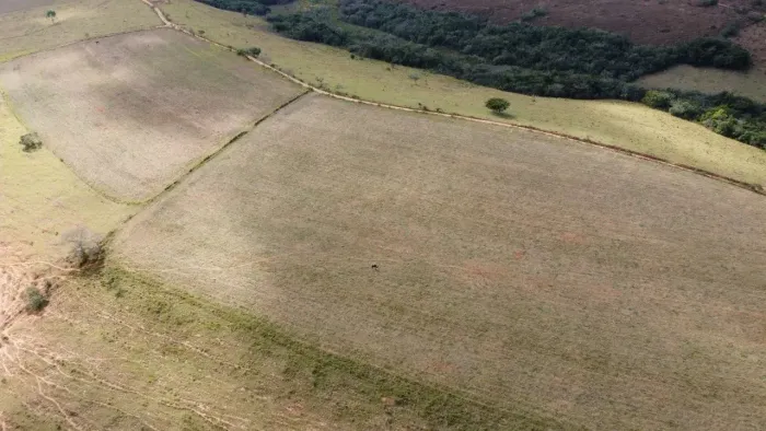 Lindas Fazendas, 70 e 25 Hectares, Zona Rural - São Tiago - MG