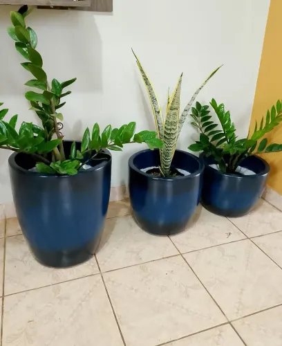 Kit d vasos para plantas 
