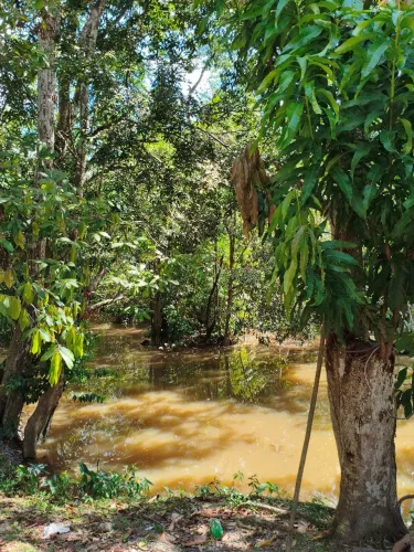 Vendo lindo sítio em outeiro perfeito para quem busca lazer, segurança ou empreender