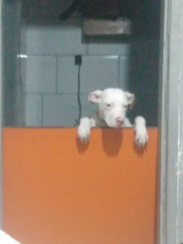 Vendo praca de drywall por 26 reais nova só chama no WhatsApp * novas 