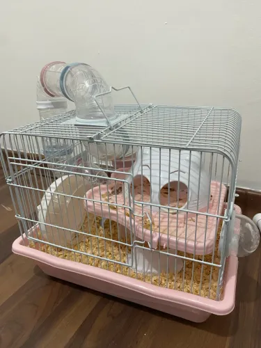 Gaiola de hamster!!
