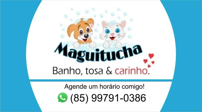 Banho e tosa em domicílio -fortaleza *