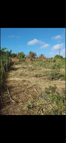 Terreno 10x30