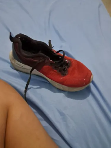 Tenis