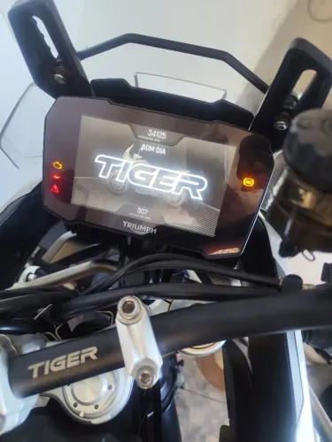Tiger rally pro 2023