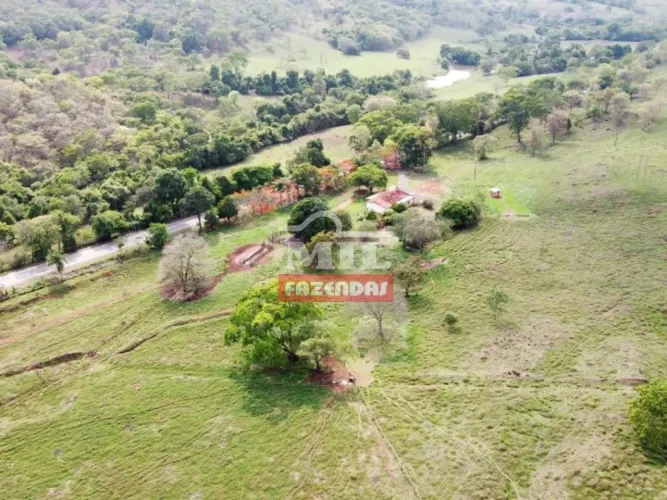 Sítio 9.81 alqueires (47.5 Ha) a venda em Santa Cruz de Goiás