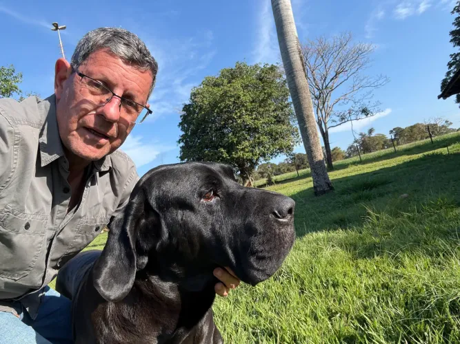 Filhote Fila Brasileiro