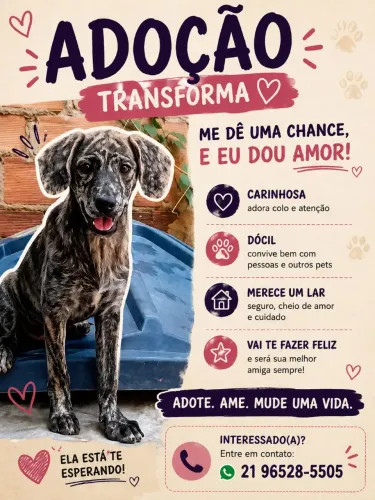 Estou doando essa fêmea