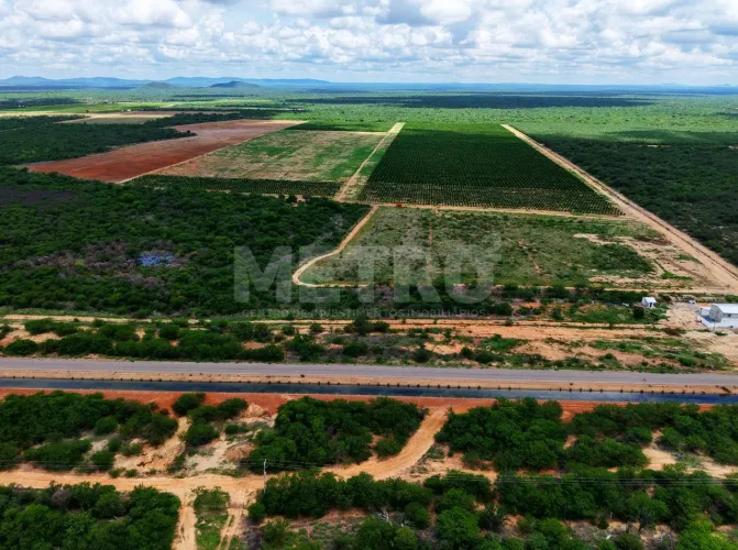 Fazenda de limão produzindo à venda, 6,5 hectares, Petrolina