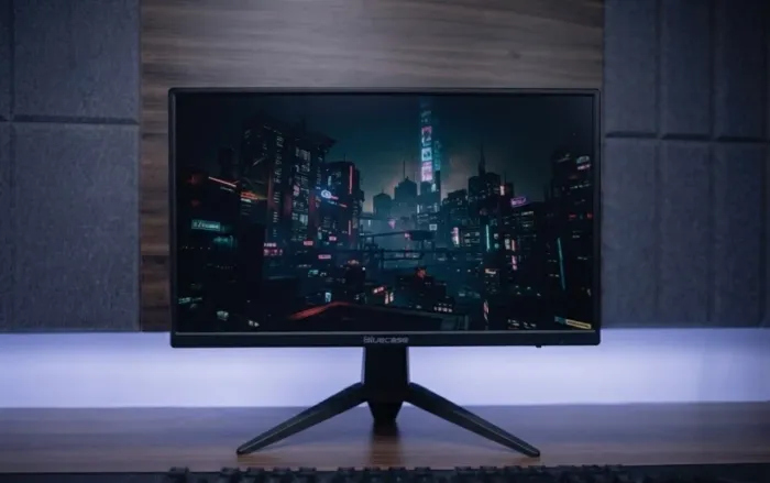 Monitor Gamer 19?