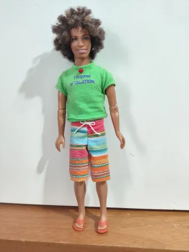 Brinquedo boneco Ken chad High school music