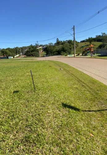 Terreno reserva do arvoredo