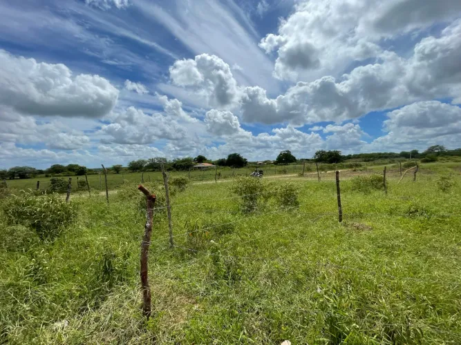 Chão no nova glória