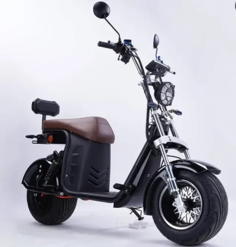 SCOOTER ELEYTICA 1000W 2025 - FOTOS ILUSTRATIVAS