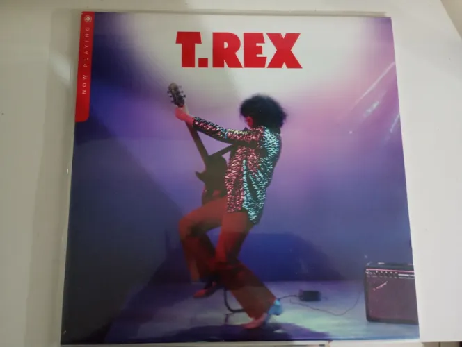 Coleção de disco de vinil 