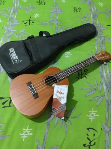 Ukulele Shelby, concert
