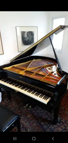 Piano de cauda Essenfelder meia cauda Yamaha gb1 Steinway imbuia Fritz Dobbert