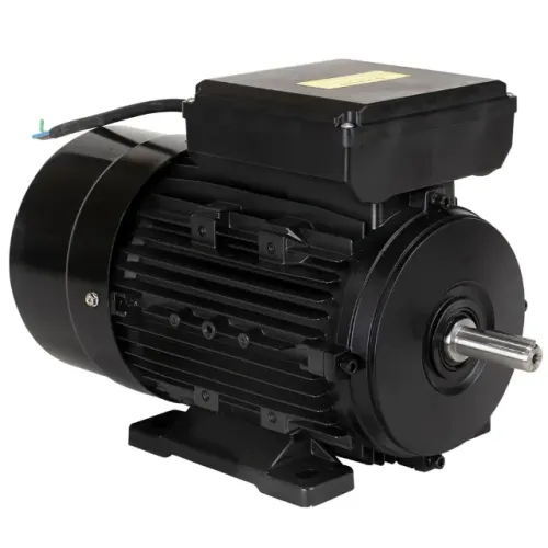 Motor Lynus Monofásico 0,5 cv - 2 Pólos Blindado  3502 rpm (Alta rotação) 110/220 Volts