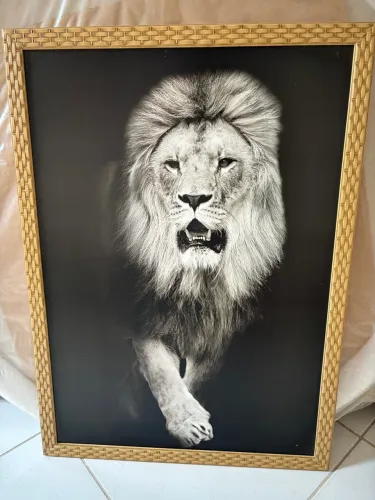 Quadro Decorativo Leão