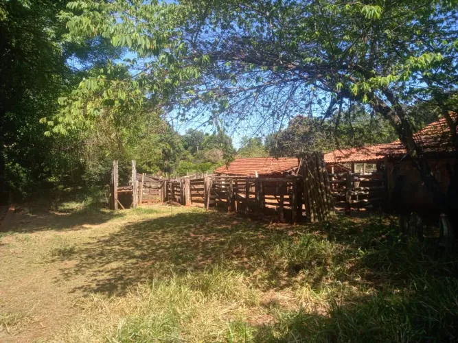 Fazenda pra investidor próximo ao Prata