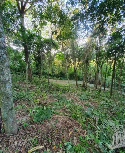 Terreno em Local Tranquilo, 1200 m2 escritura pública